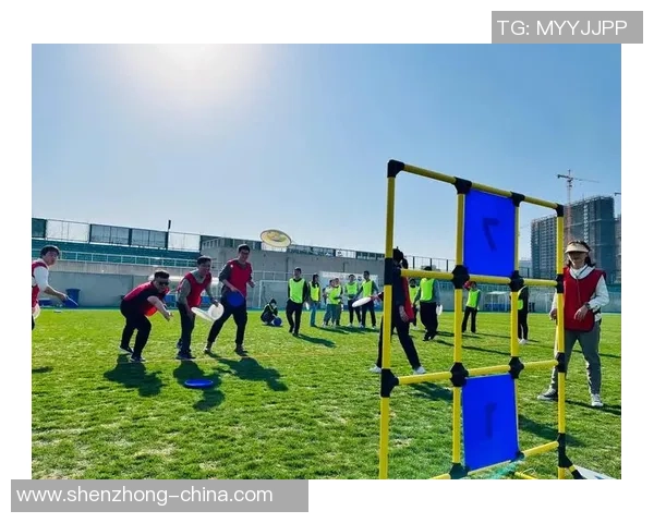 飞盘焦点：杭州飞盘队的灵活性探讨