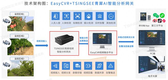 水果种植与果园监管“智慧化”AI技术打造智慧果园视频解决方案(图1)