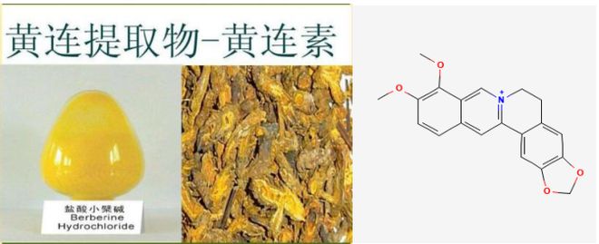 生物农药CE小檗碱：果树青苔病高发期防治不当小心影响产量！(图2)