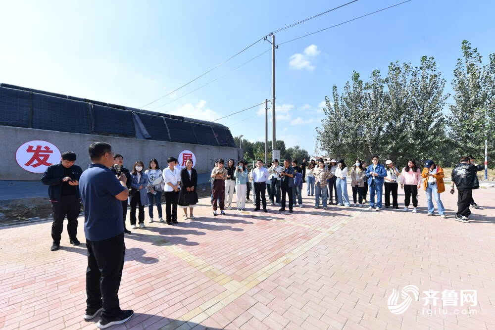 沿着黄河遇见海｜采摘、露营、美食街 张王农乐园拿捏住了乡村游的“流量”密码(图1)