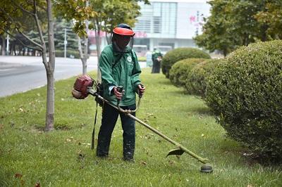 金秋养绿以待来年(图3)