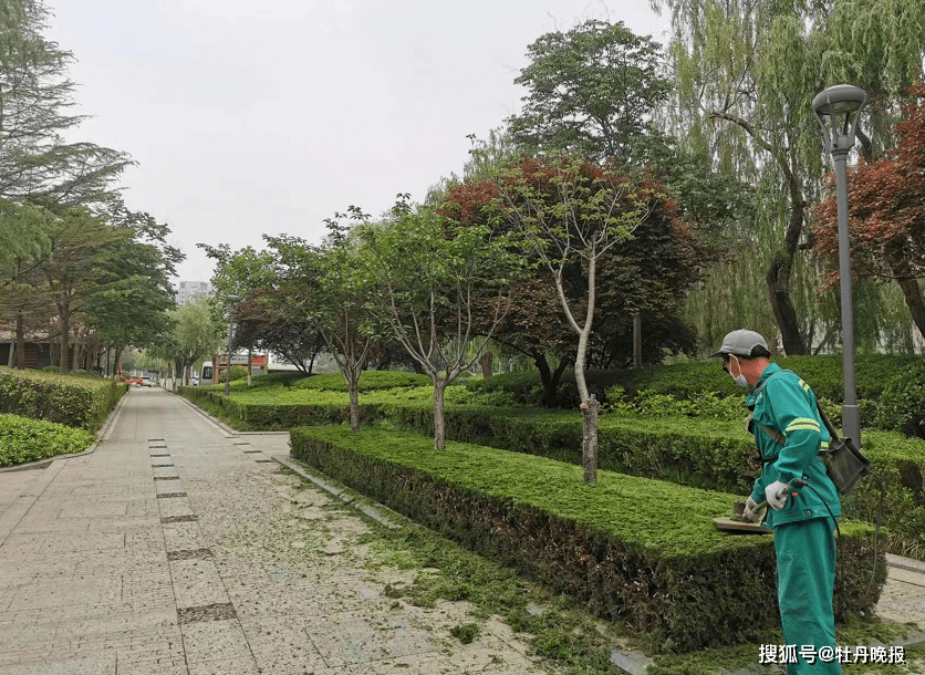 提质增效加强精细化养护管理(图2)