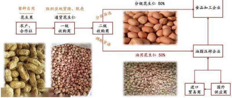 专题 花生期货投资手册(图3)