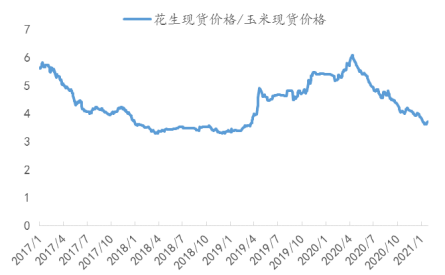 专题 花生期货投资手册(图19)