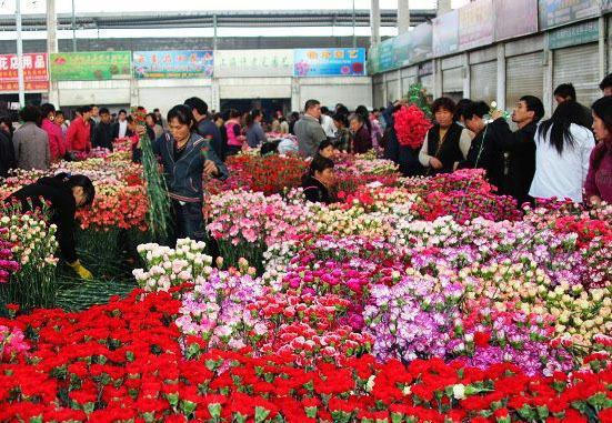 中国九大花卉批发市场一年四季花飘香年年岁岁花不同哦(图1)