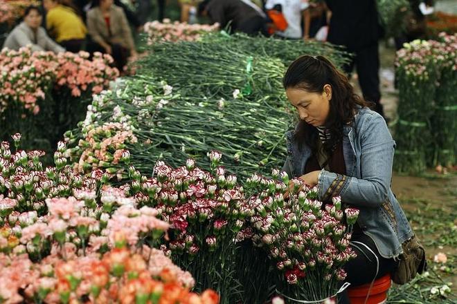 中国九大花卉批发市场一年四季花飘香年年岁岁花不同哦(图2)