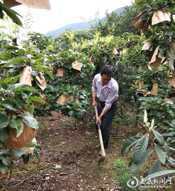 致富能手王付华：“嫁接”浇开幸福花(图3)