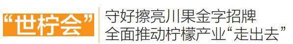 一株幼苗长出百亿产业“安岳柠檬”成功升级为国家标准(图2)