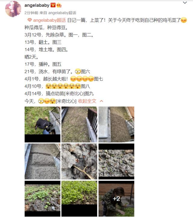 Baby豪宅中开荒种菜化身欢乐杨菜农小海绵帮妈妈除草乖巧可爱(图1)