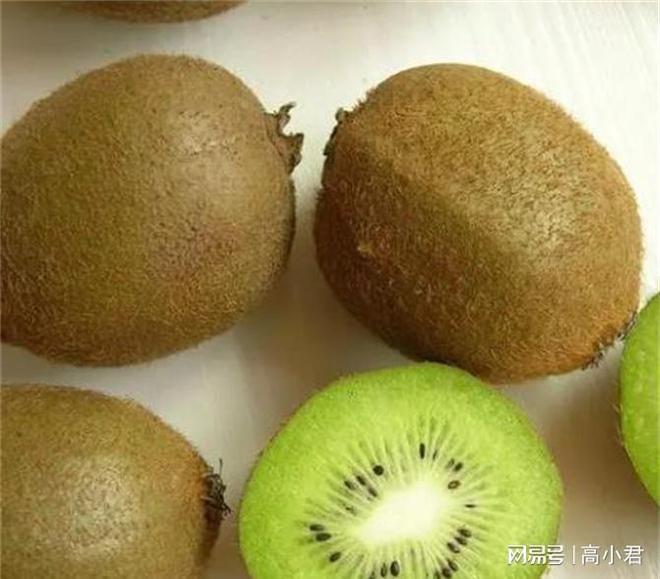 猕猴桃为什么叫kiwi! 猕猴桃Kiwifruit的来源竟然是鸟身上的毛!(图3)