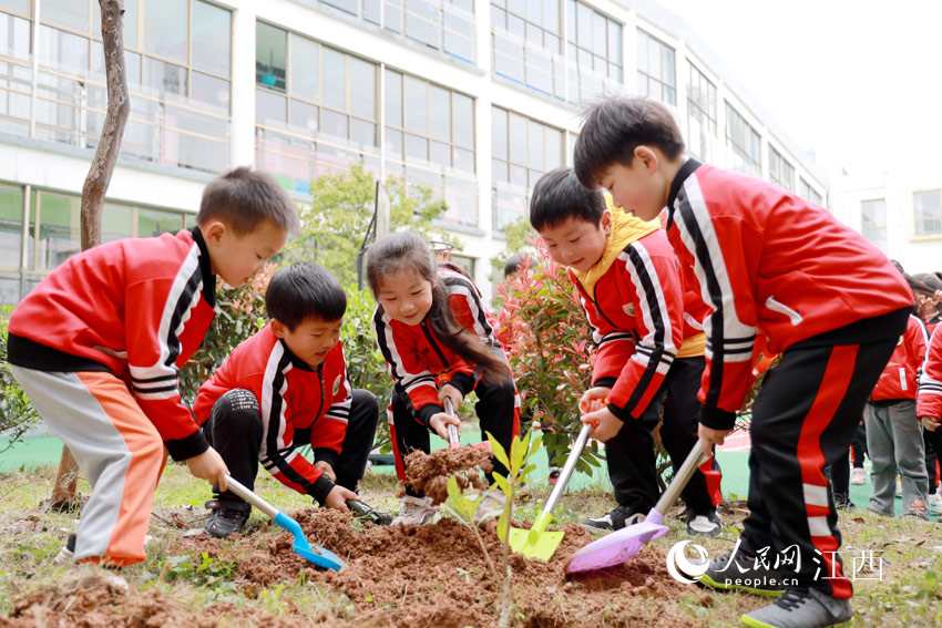 高清图：植树造林为家园添绿(图2)