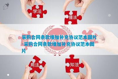 采购合同条款增加补充协议范本(图6)