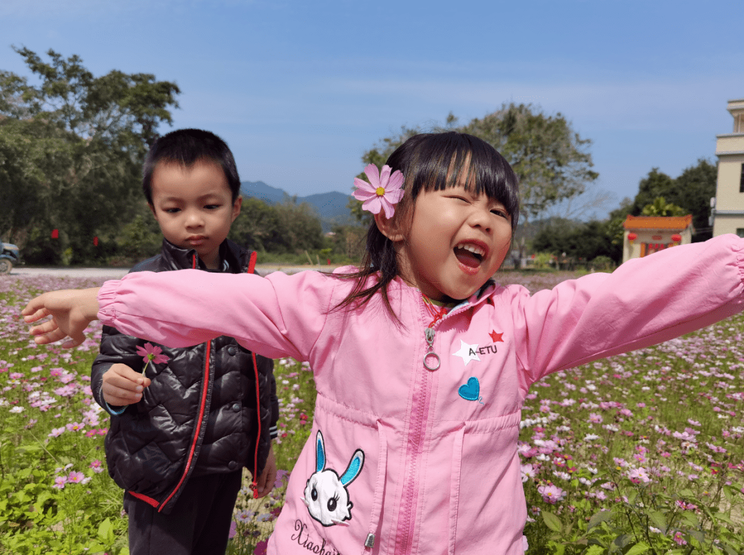 不负春光！云浮这里的格桑花如期盛开快去打卡！(图6)