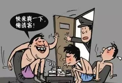 【禁毒】认识和了解罂粟幼苗的危害(图6)