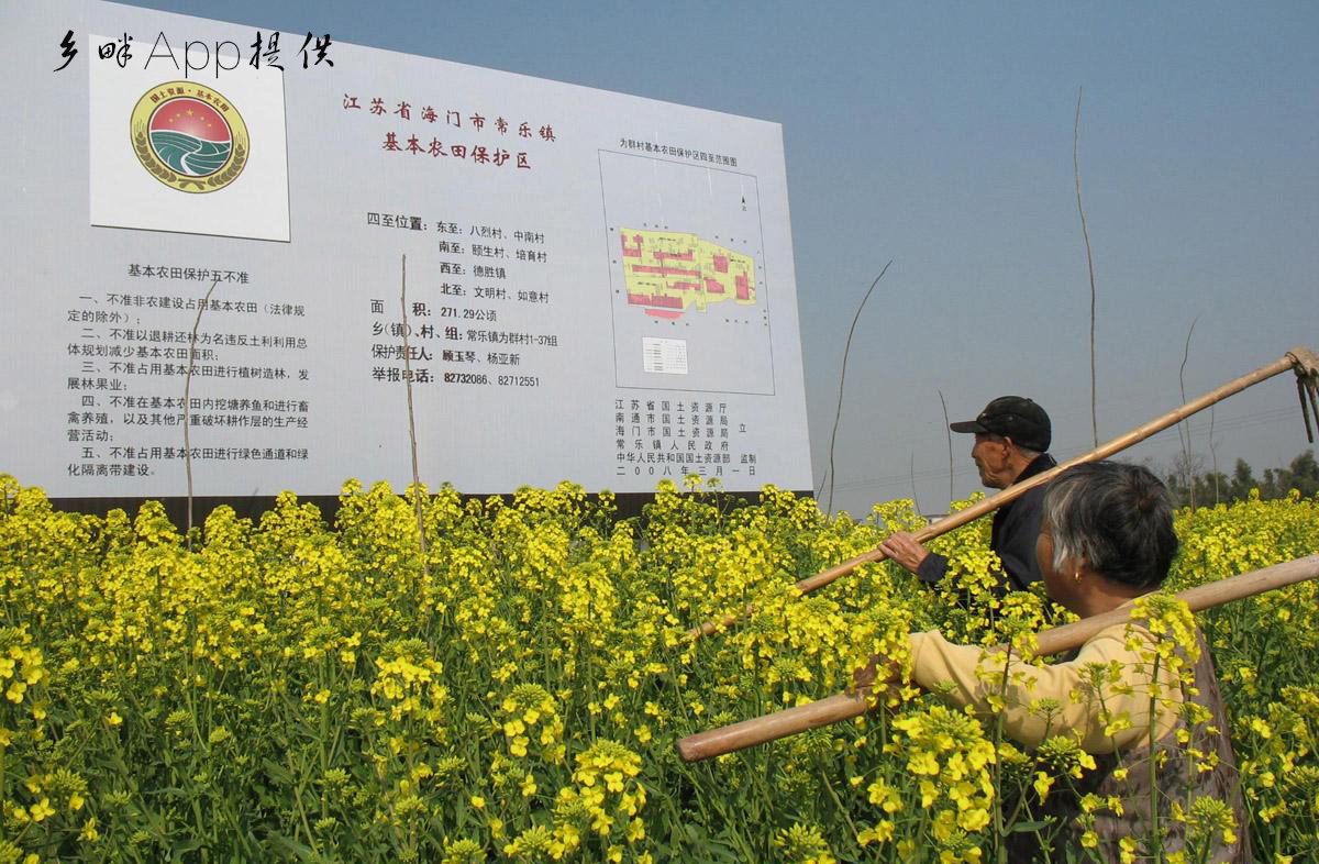 在自家耕地里种果树究竟允许不允许？(图1)