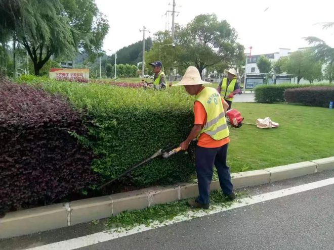 满目绿色夏意浓 养绿护绿正当时(图1)