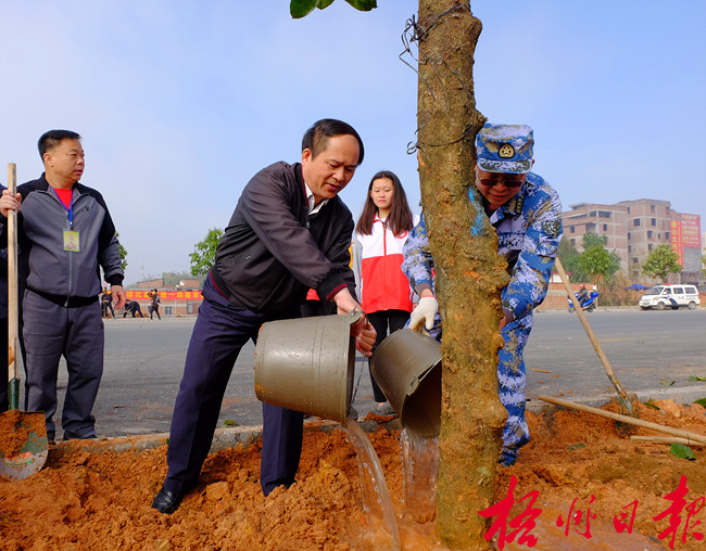 多种树种好树提高绿化水平(图1)